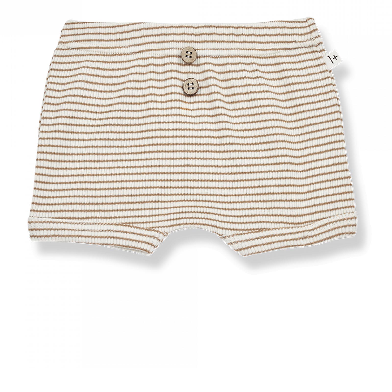 Salva cotton shorts stripes biscuit baby