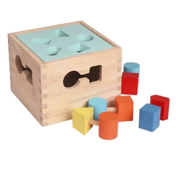 bass and bass shape sorter cube