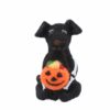 Black Dog with Pumpkin Halloween Decoration