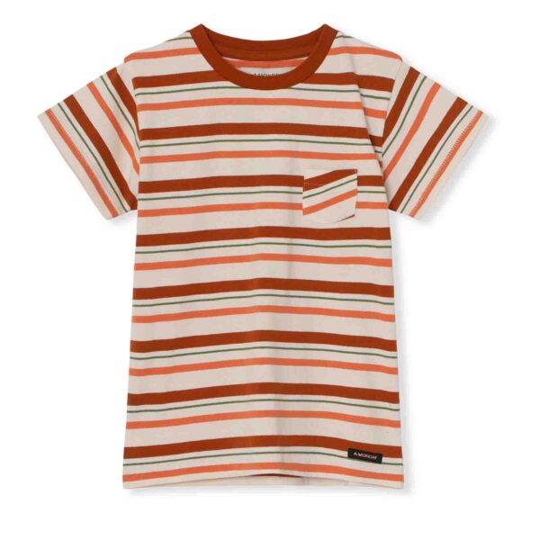 Boys Red Stripe T-shirt
