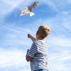 kids kite